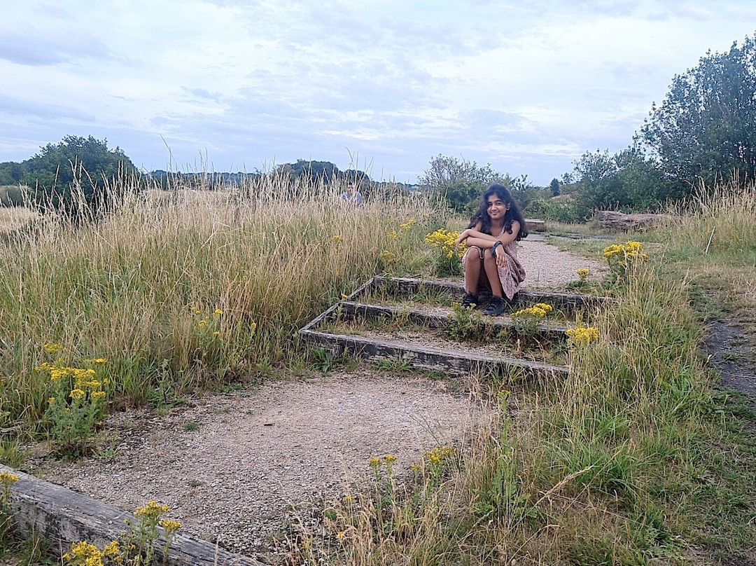Six Towns Viewing Point-Fenton必去景点