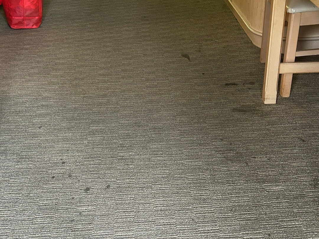 Rodeway Inn Fallsview主图