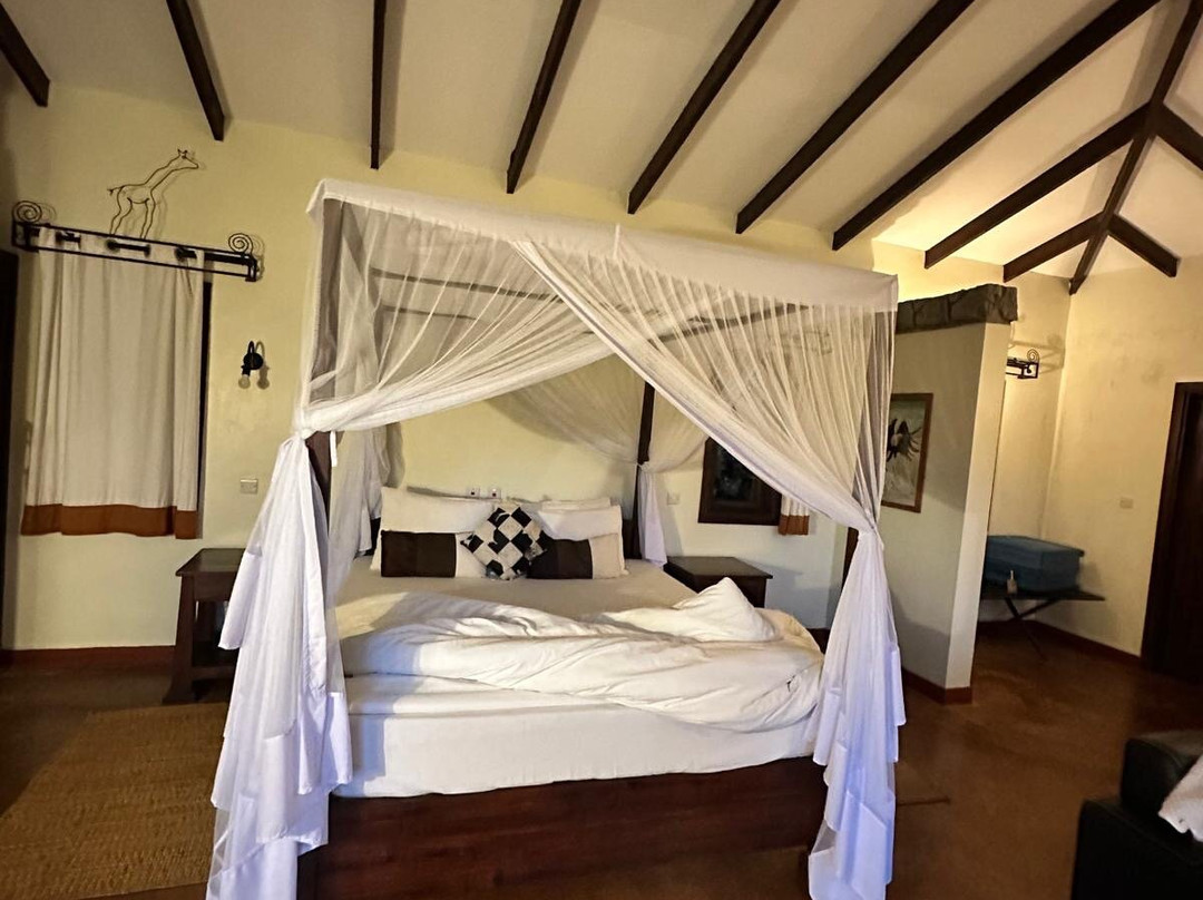 Northern Masailand Safaris-阿鲁沙必去景点