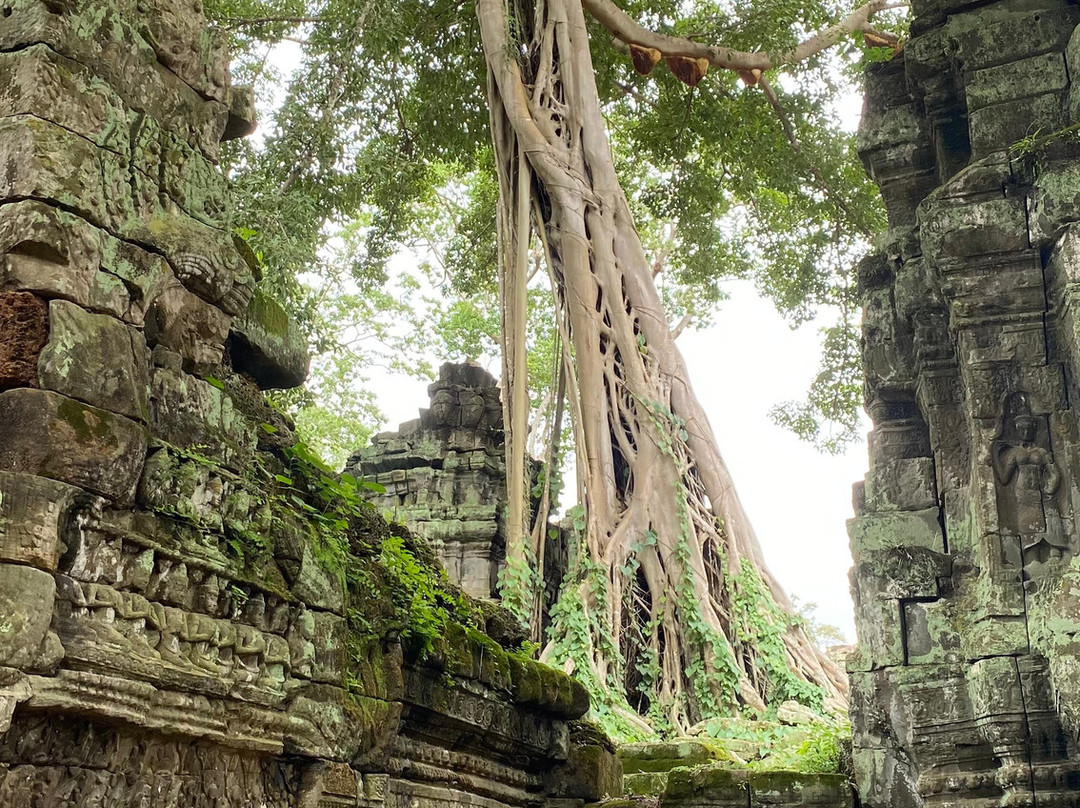 Remorque Cambodia Tour-暹粒必去景点
