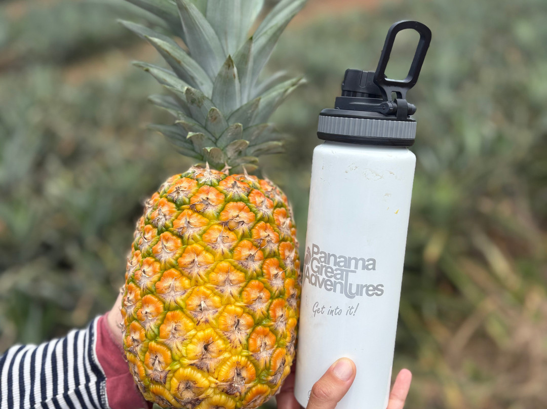 Panama Great Adventures-巴拿马城必去景点