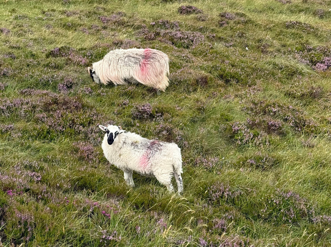 Devil's Punch Bowl-基拉尼必去景点