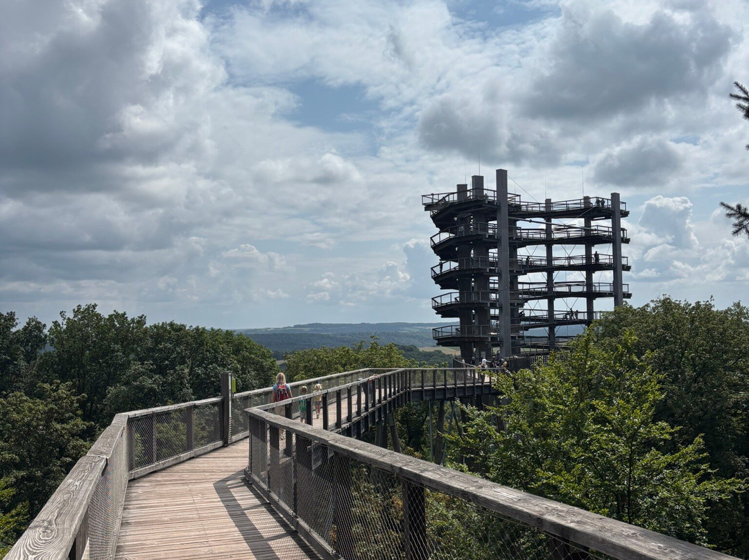Treetop Path Saarschleife-Orscholz必去景点