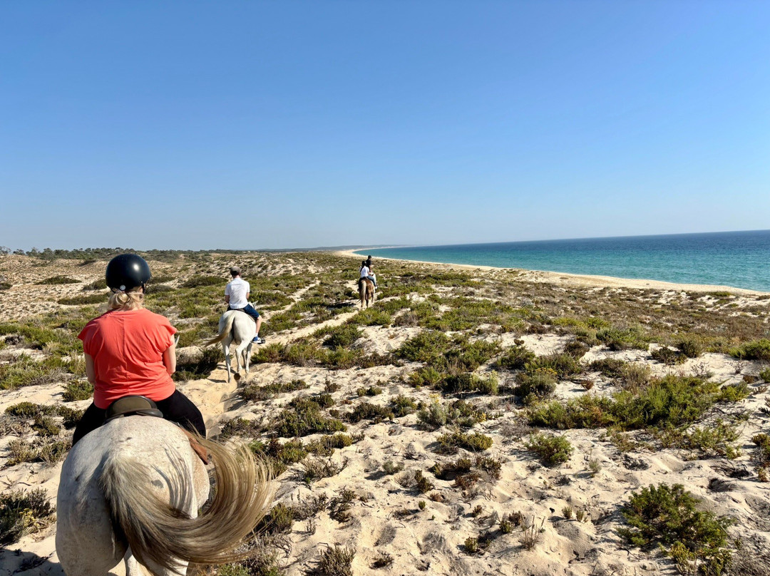 Cavalos na Areia-Comporta必去景点