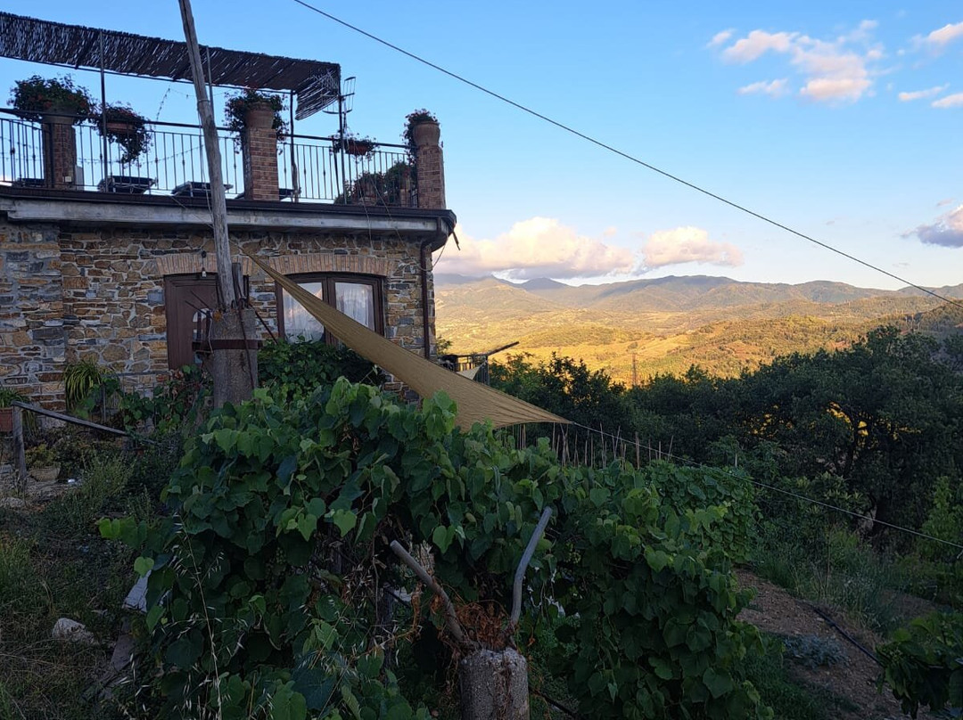 Agriturismo San Basilio主图