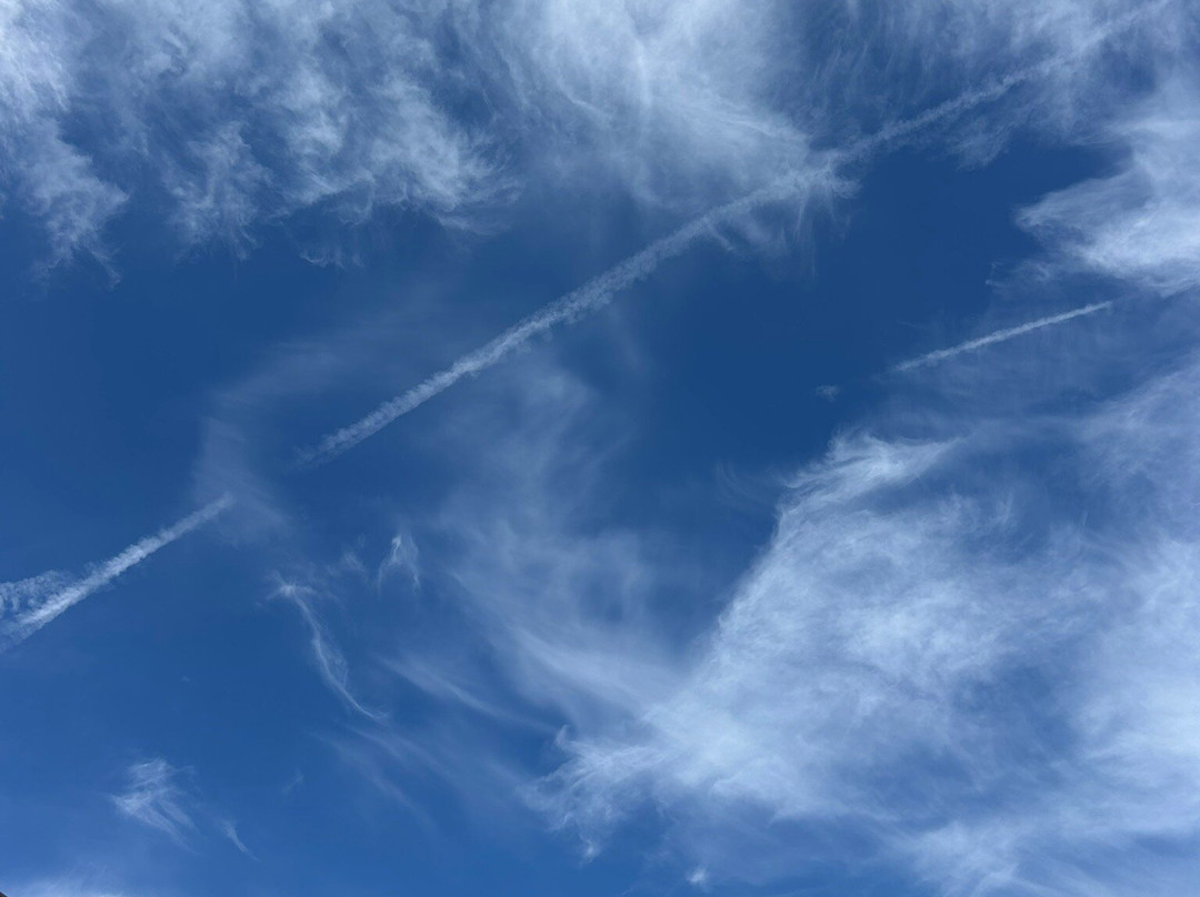 Cavens Country House (dinner Included)主图