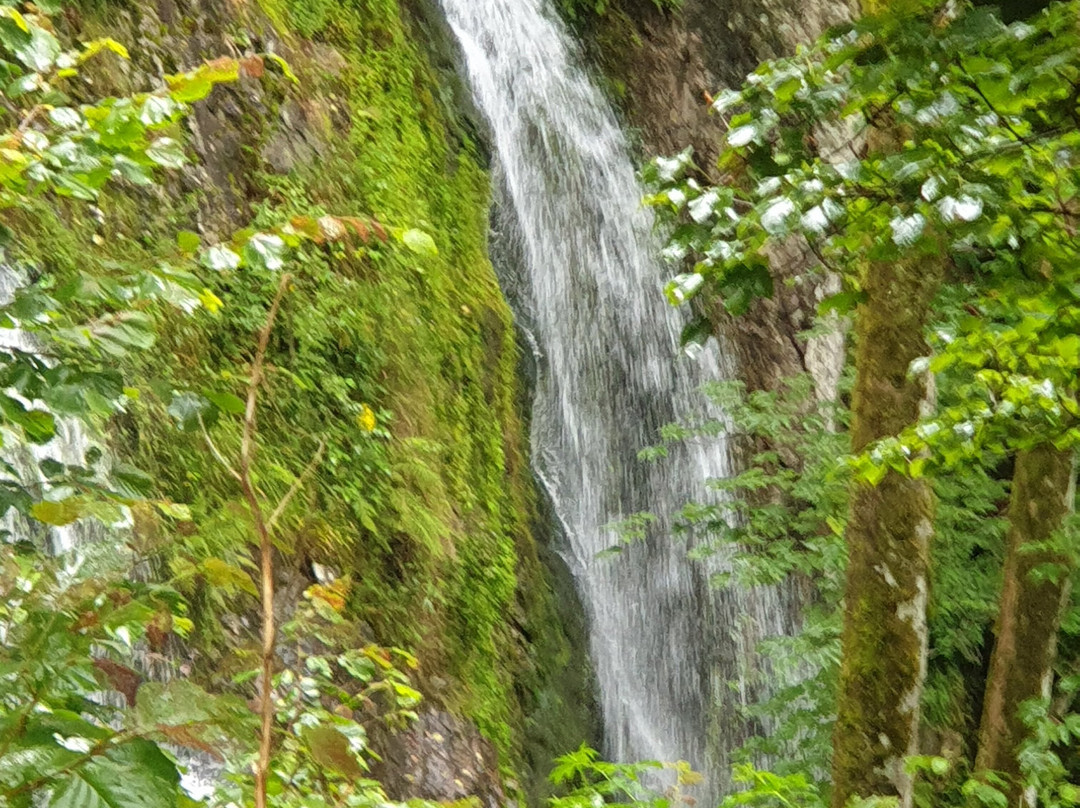 Cascade du Heidenbad-Wildenstein必去景点