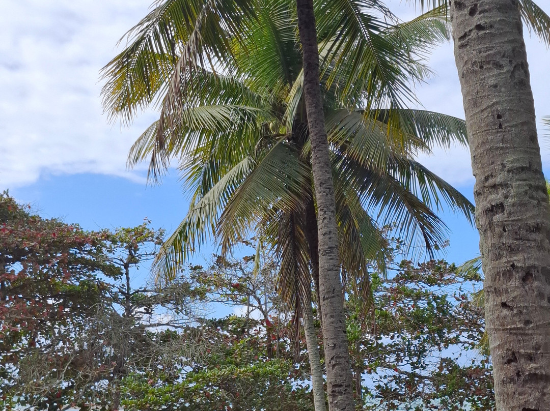 Praia dos Padres-瓜拉帕里必去景点