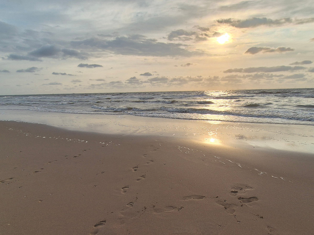 Strand Van Noordwijk-诺德韦克必去景点