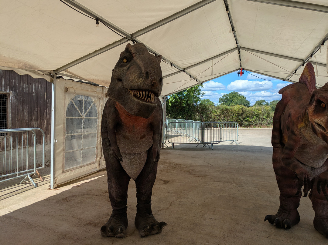 Attwell Farm Park-雷迪奇必去景点