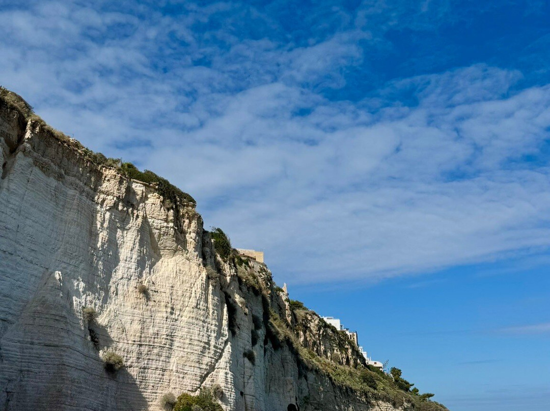 Spiaggia del Pizzomunno-维耶斯泰必去景点