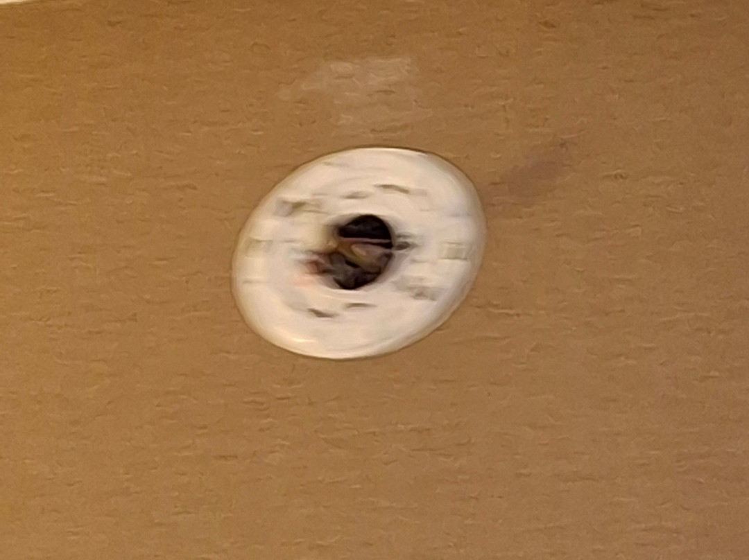 Comfort Suites主图