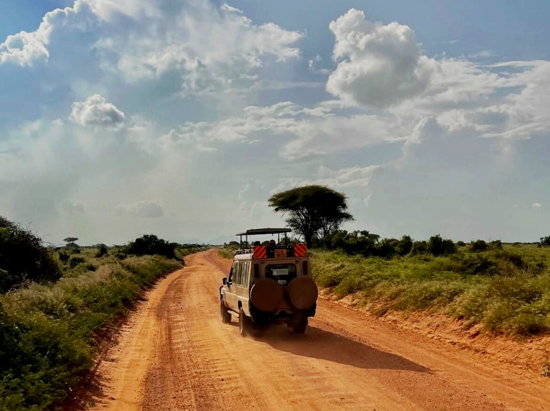 Scopri il Kenya con Nicholas-瓦塔木必去景点