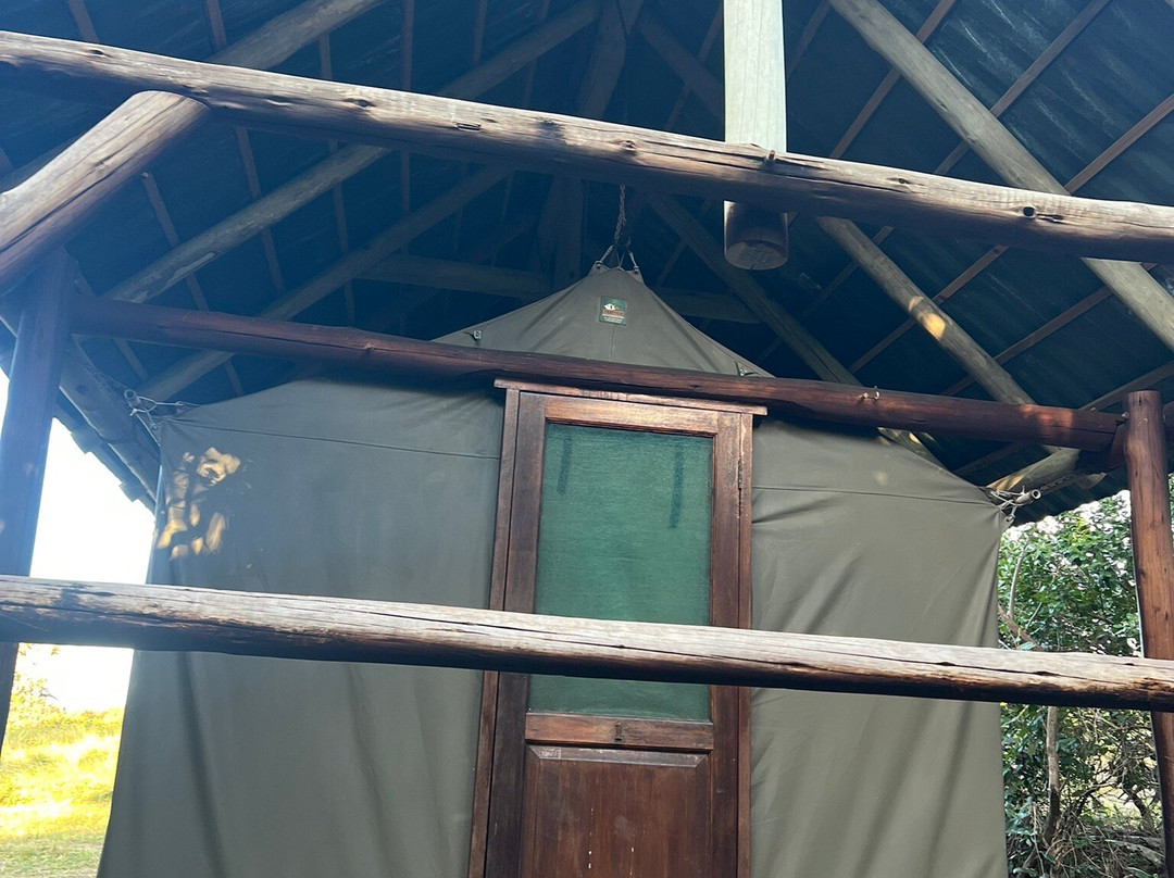 Wild Child Africa-彼得马里茨堡必去景点