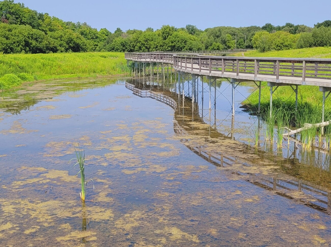 Mike Schout Wetlands Preserve-New Hamburg必去景点