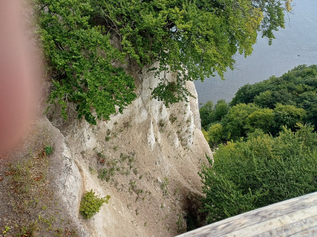 Kreidefelsen-萨斯尼茨必去景点