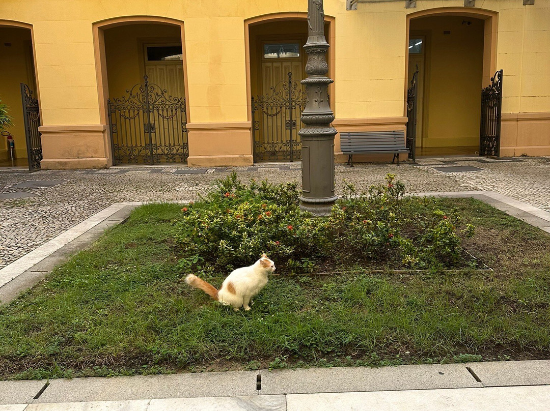 Palacio do Campo das Princesas-累西腓必去景点