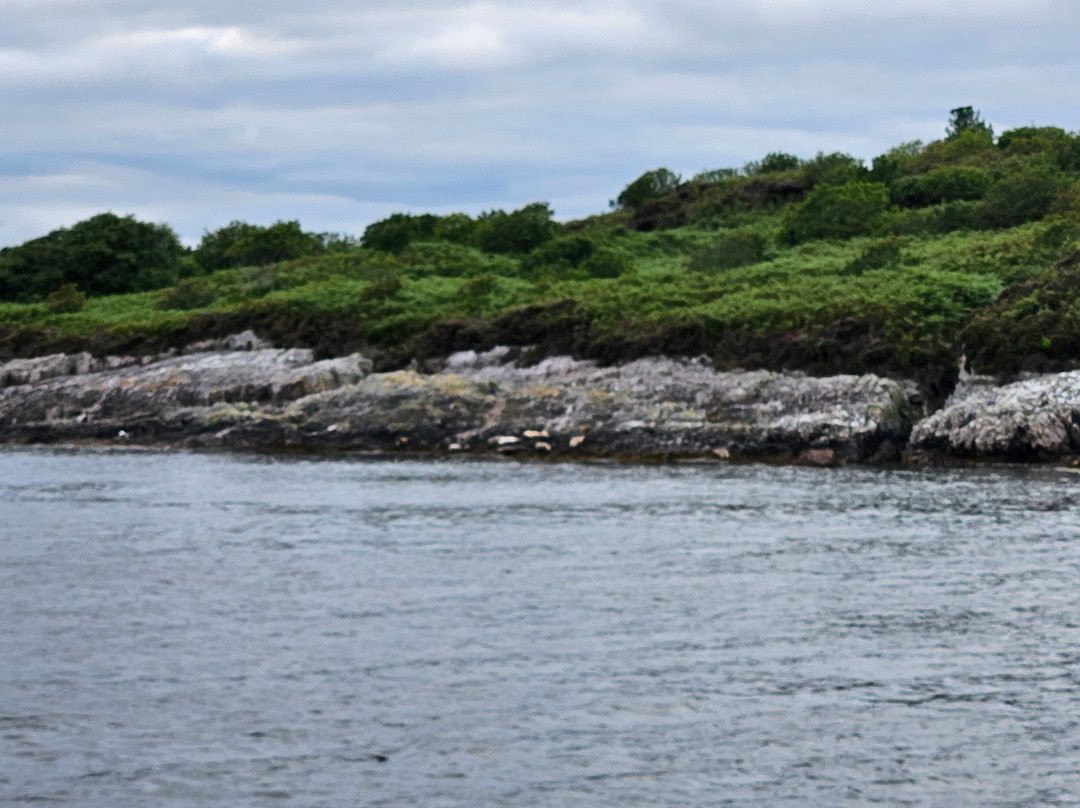 Etive Boat Trips-奥本必去景点