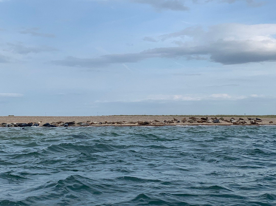 Beans Boat Trips-Morston必去景点
