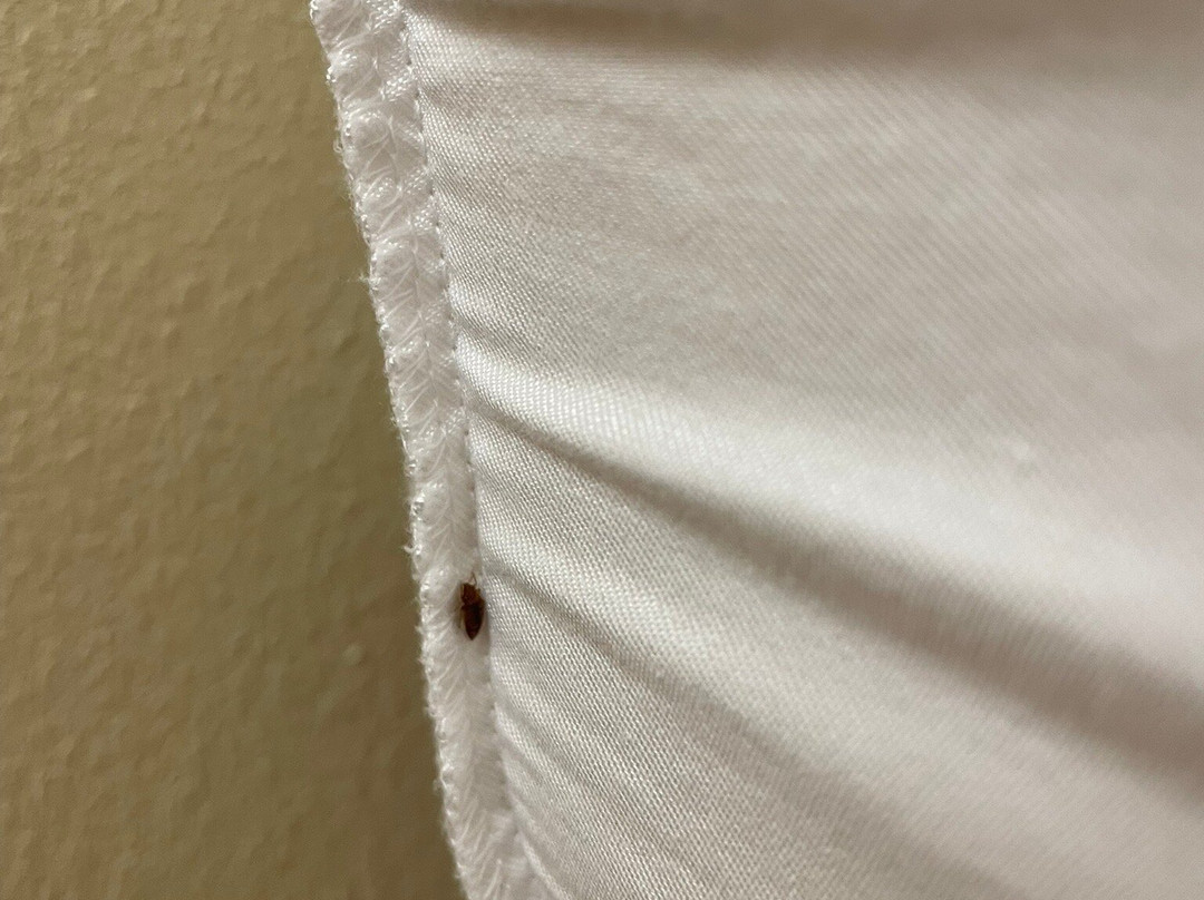 Kentucky Dam Village State Resort Park - Lodging主图