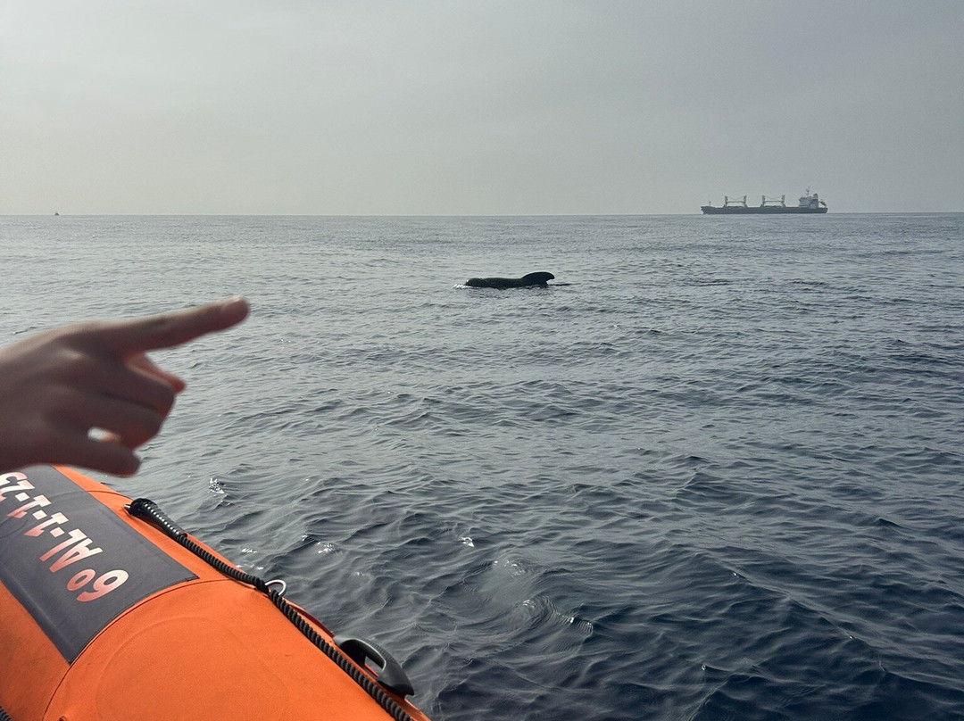 Top Tarifa-塔里法必去景点