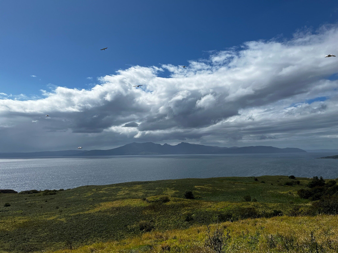 Little Cumbrae-The Cumbraes必去景点