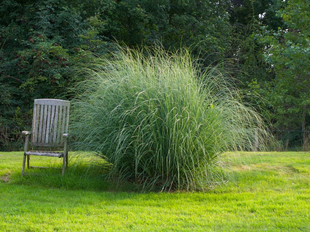 Hotel de Lindeboom主图