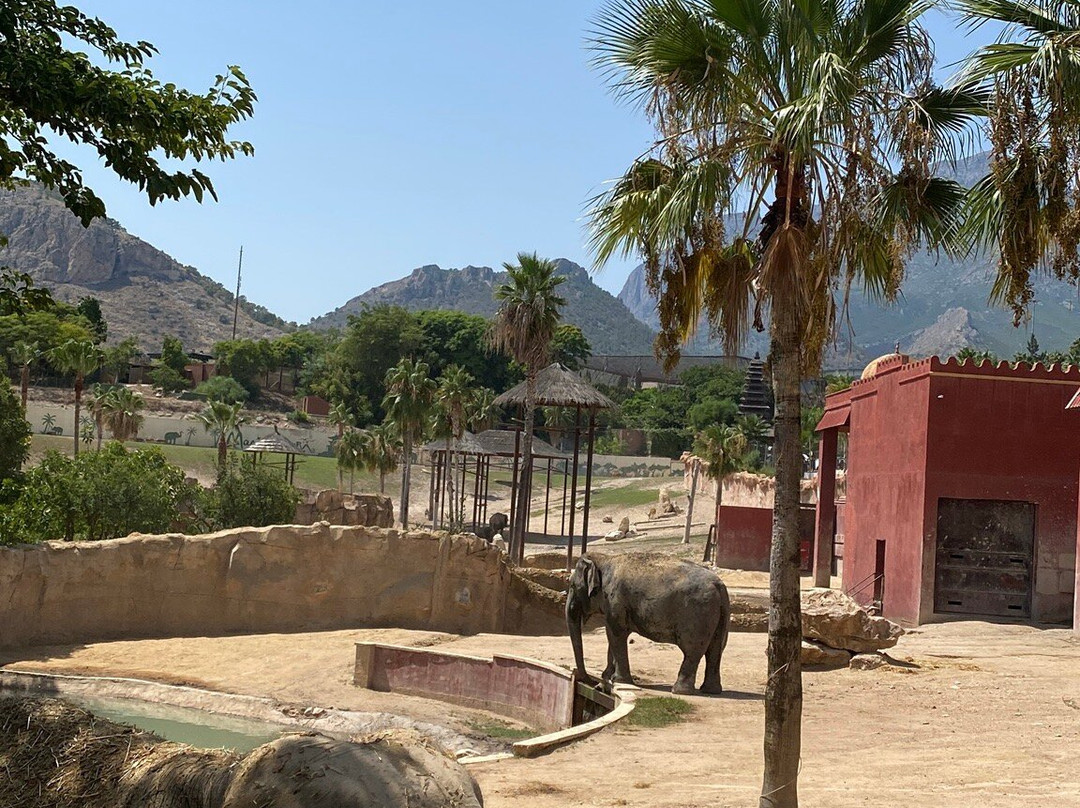 Terra Natura Benidorm-贝尼多姆必去景点