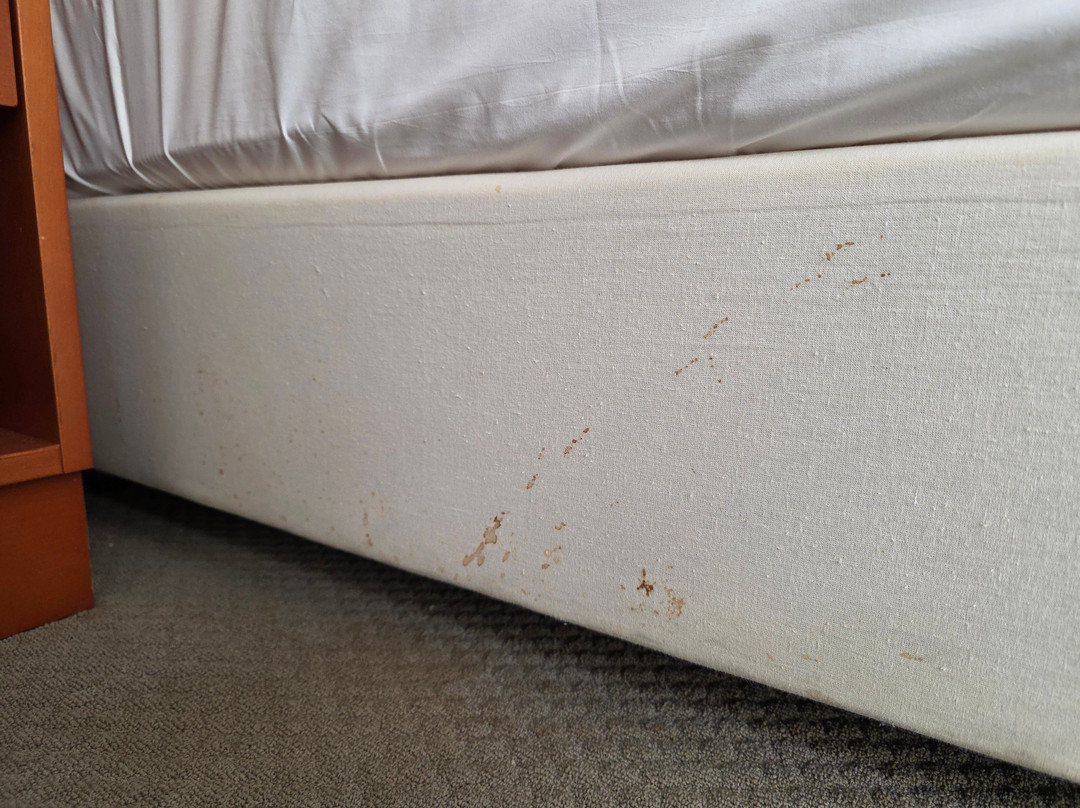 Wyndham Garden Quedlinburg Stadtschloss主图