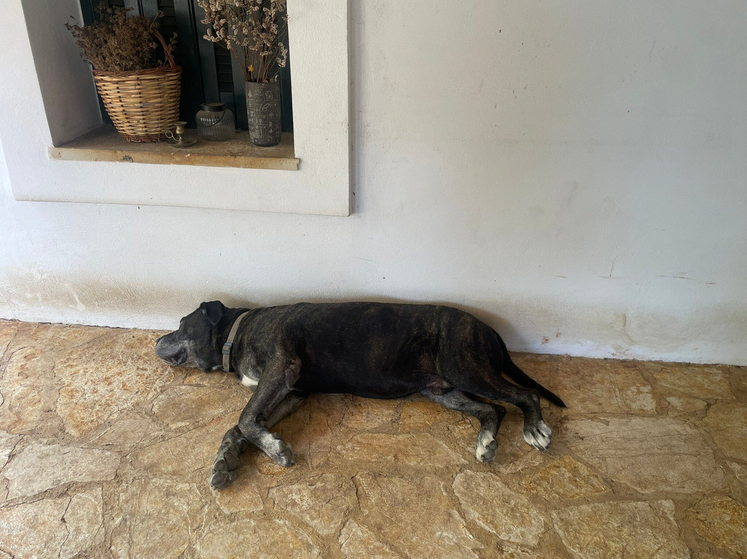 Dr. Kavvadia's Organic Farm-Tzavros必去景点