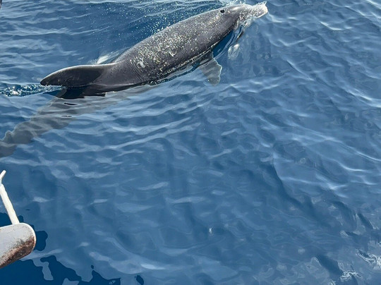 Borrasca Experience-班纳玛德纳必去景点