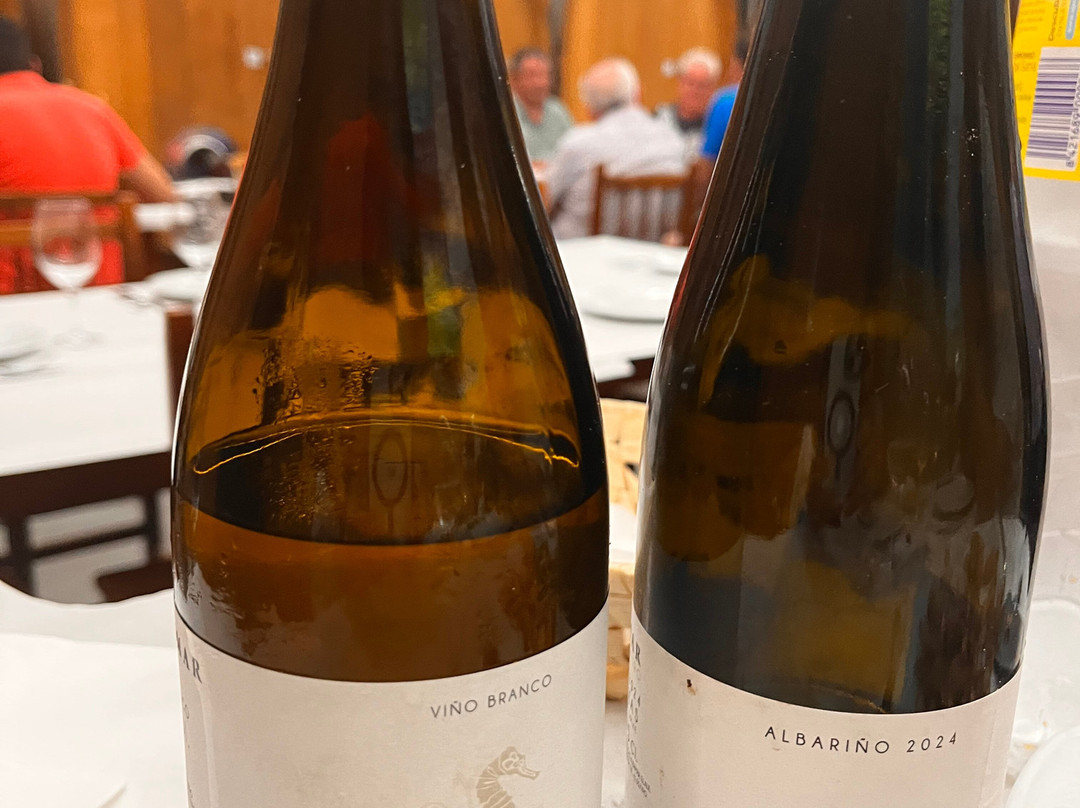 Bodegas Albamar-Cambados必去景点