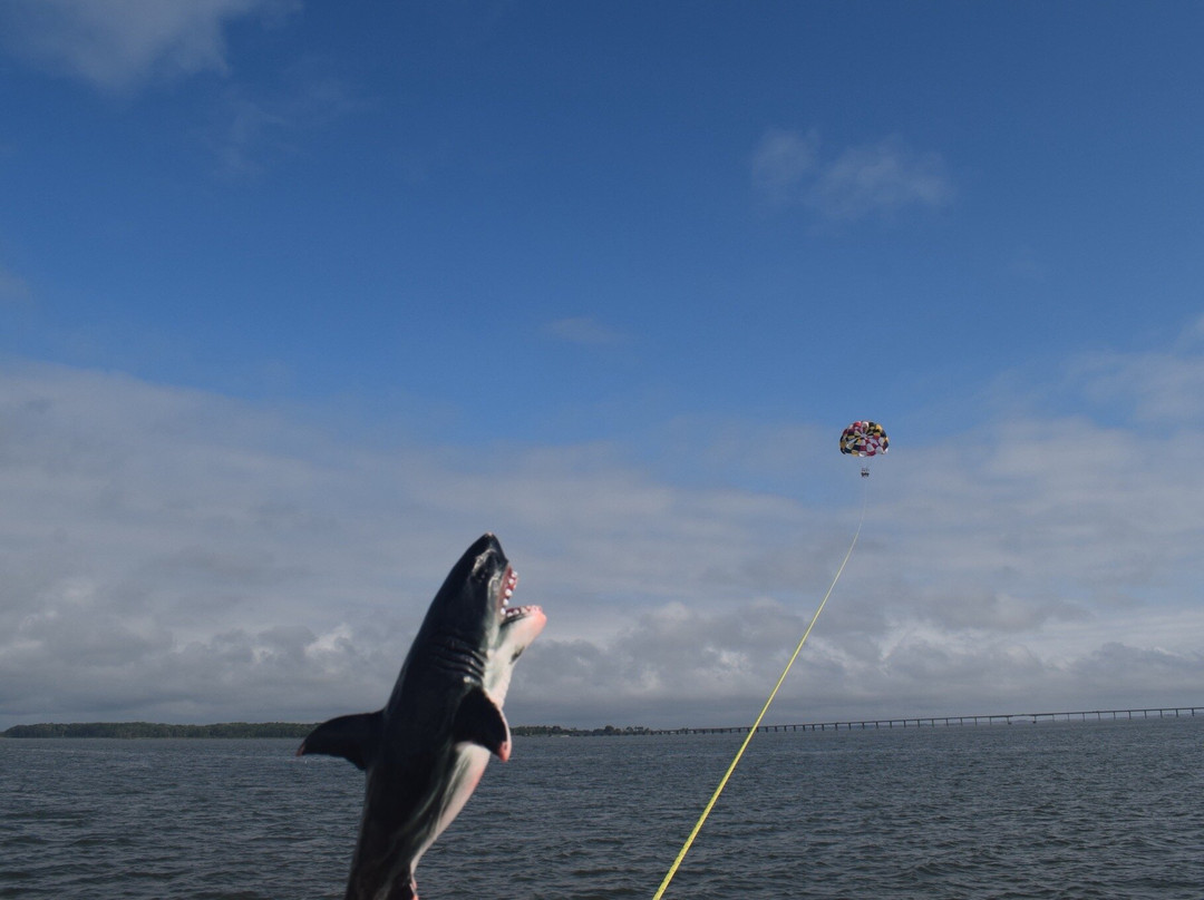 Island Parasail-大洋城必去景点