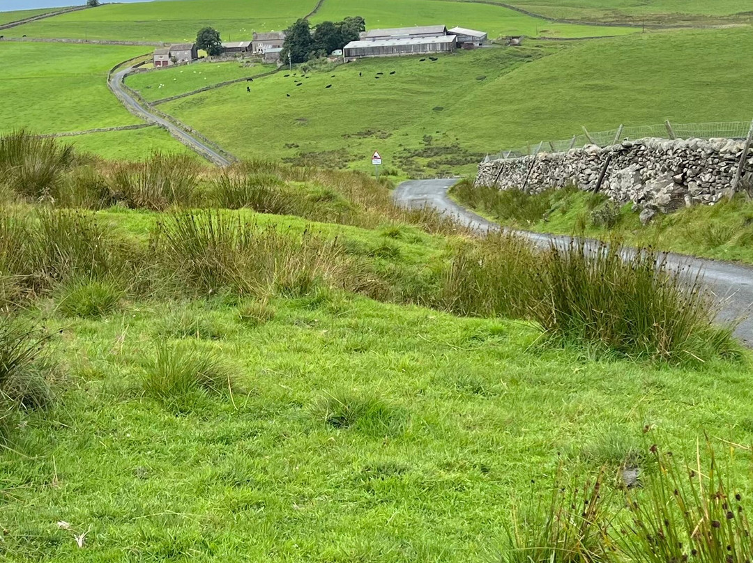 Vern Overton Cycling Ltd-哈罗盖特必去景点