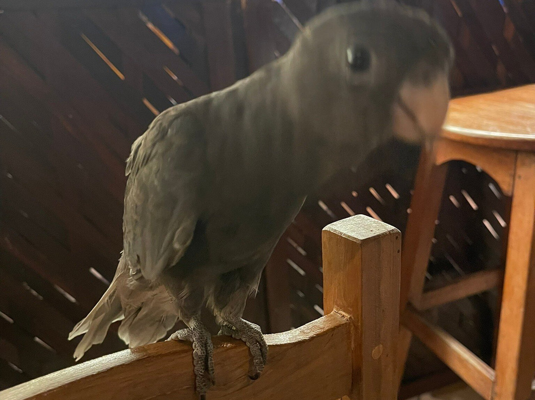 Ifaty Beach Club主图