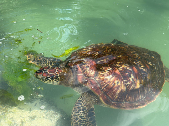 Zanzibar Experience-石头城必去景点