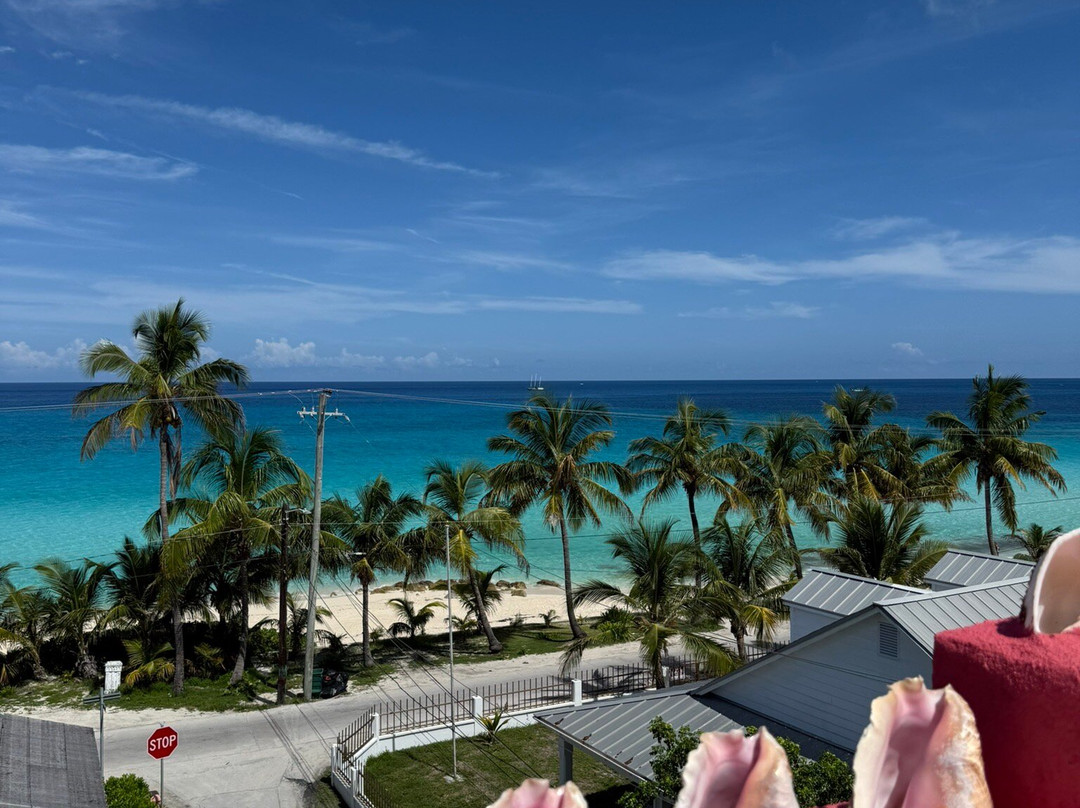Dolphin House Museum-Alice Town必去景点