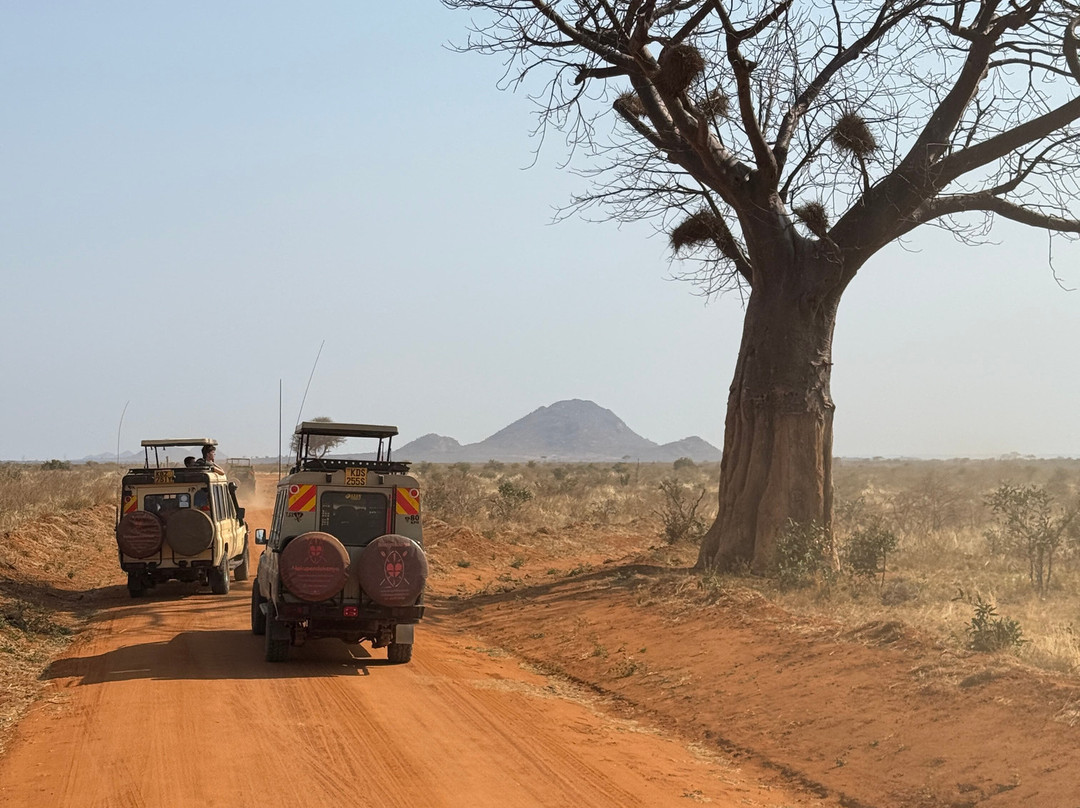 Nakupendakenya Safari & Tours services-蒙巴萨必去景点