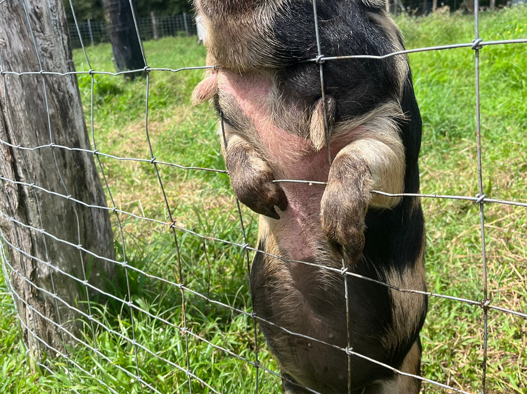 Hāna Gardenlands-哈纳必去景点