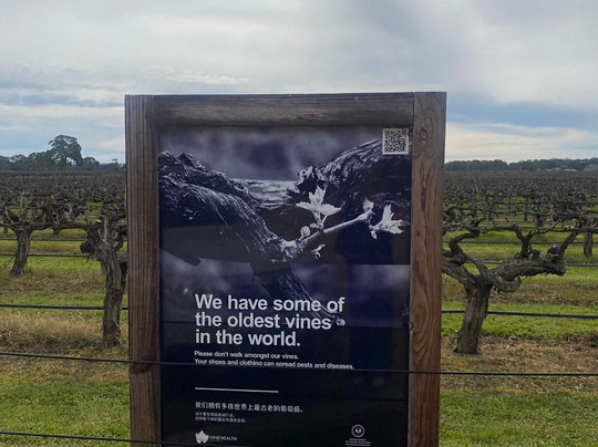 Lake Breeze Wines-Langhorne Creek必去景点