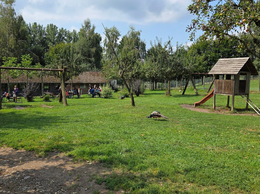 Wildpark Sonnenhalde-Neukirch必去景点