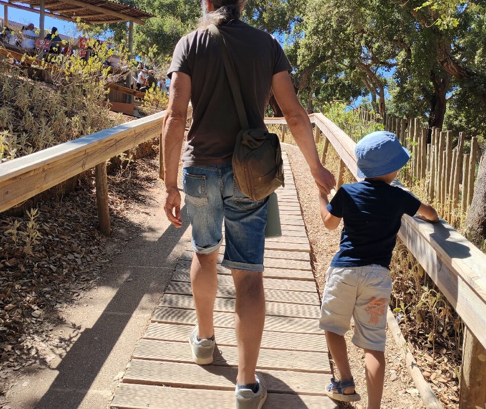 Badoca Safari Park-Santiago do Cacem必去景点