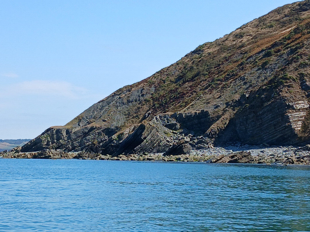 Dolphin Survey Boat Trips-纽基必去景点