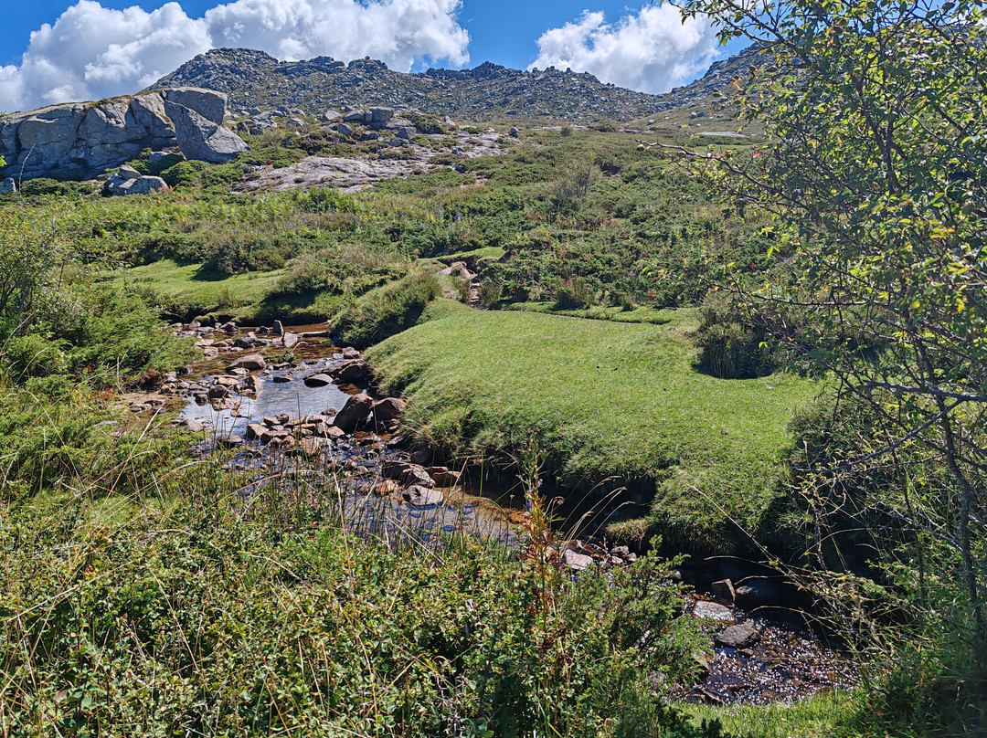 Plateau de Coscione-Aullene必去景点