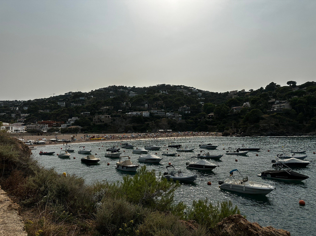 Playa Sa Riera-Sa Riera必去景点