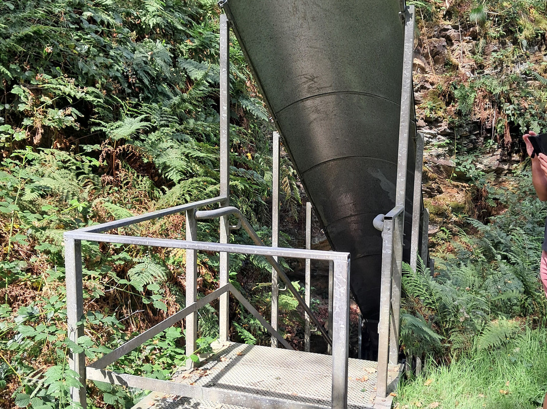 Dolaucothi Gold Mines-Llanwrda必去景点