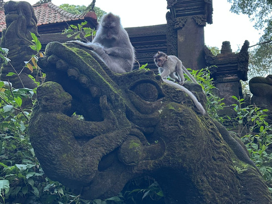 Butik Trip - Day Tours-雅加达必去景点