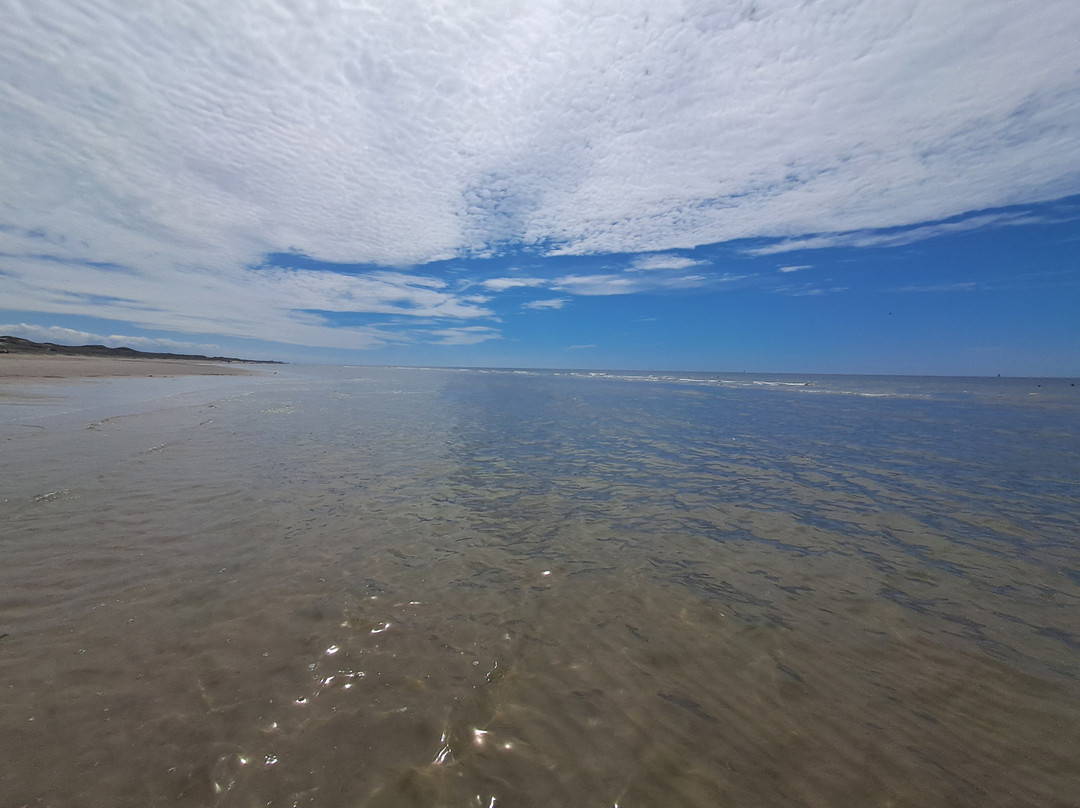 Hargen Aan Zee Strand-Schoorl必去景点