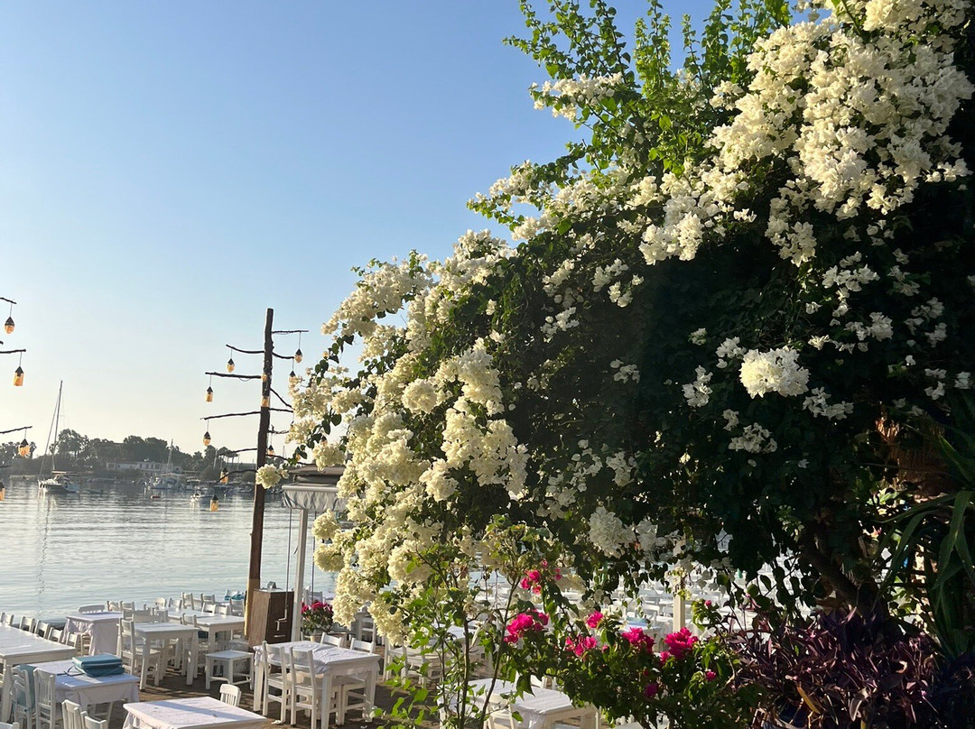 Uslu Otel Royal Yachting主图