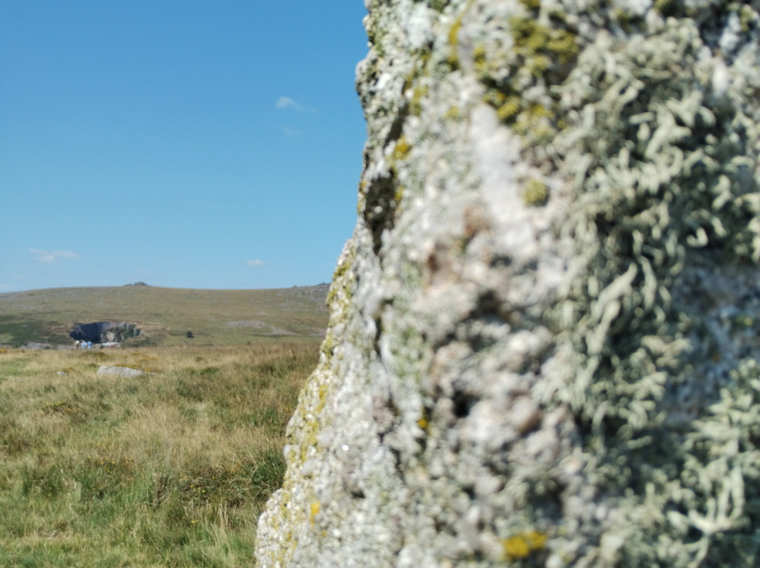 Merrivale Monuments-Tavistock必去景点